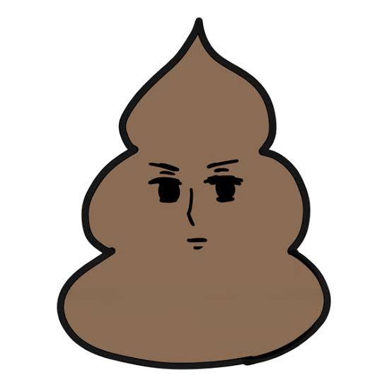 美形うんちょす