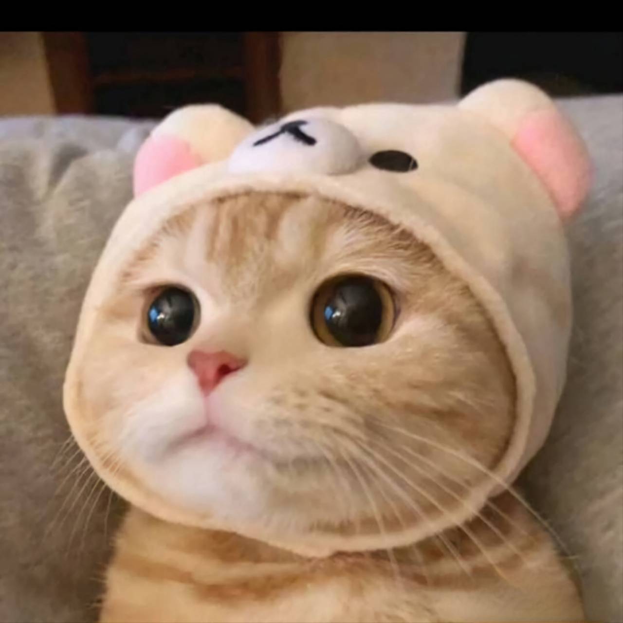 手机用户109913652