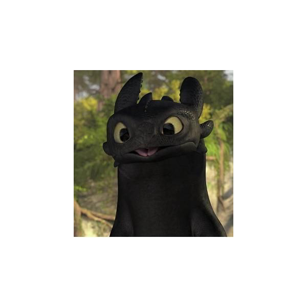 ToothlessDDraggy