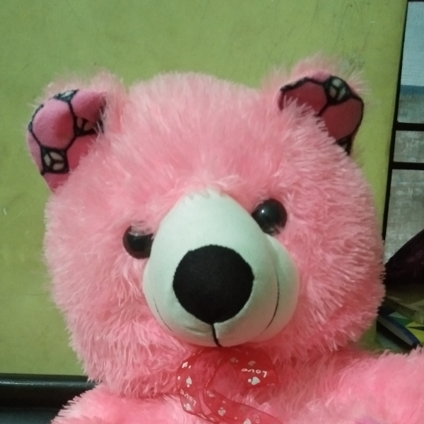 𝐻𝑂𝑃𝐿𝐸𝑆𝑆𝐴𝑁𝐷  𝐿𝑂𝑉𝐸𝑅