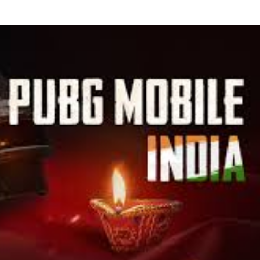PUBG India fans