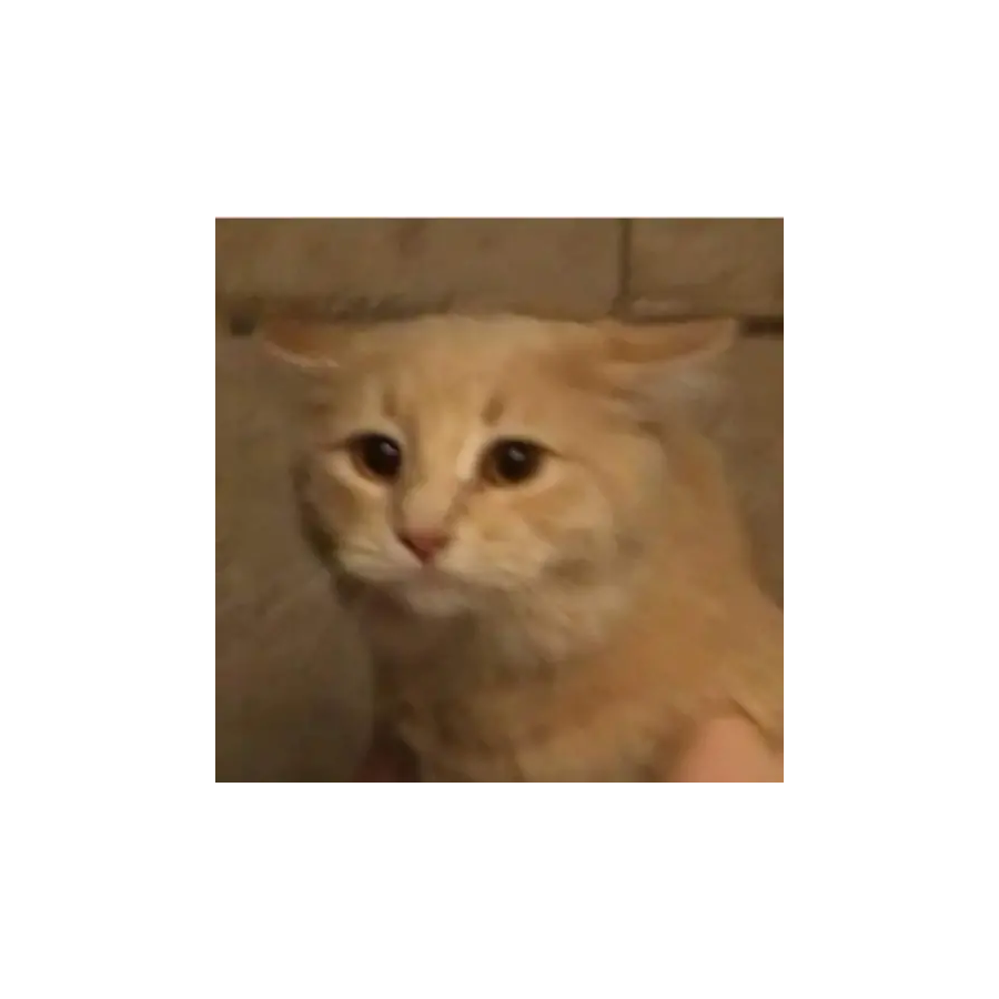 Nirvalen