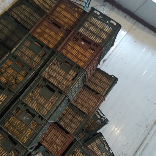 Hassan __________7/iu