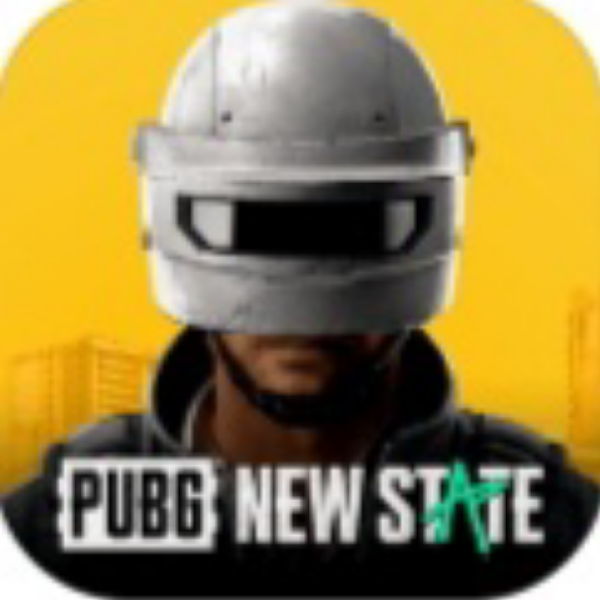 PUBG : NEW STATE