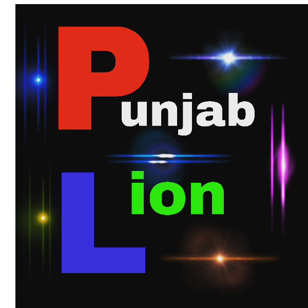PUNJAB LION
