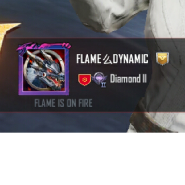 FLAME DYNAMIC