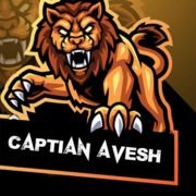 Captain Avesh