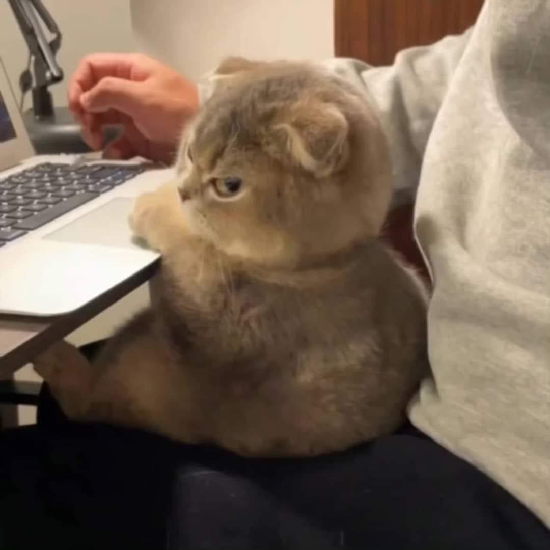 丷ｃａｎｄｙ丷