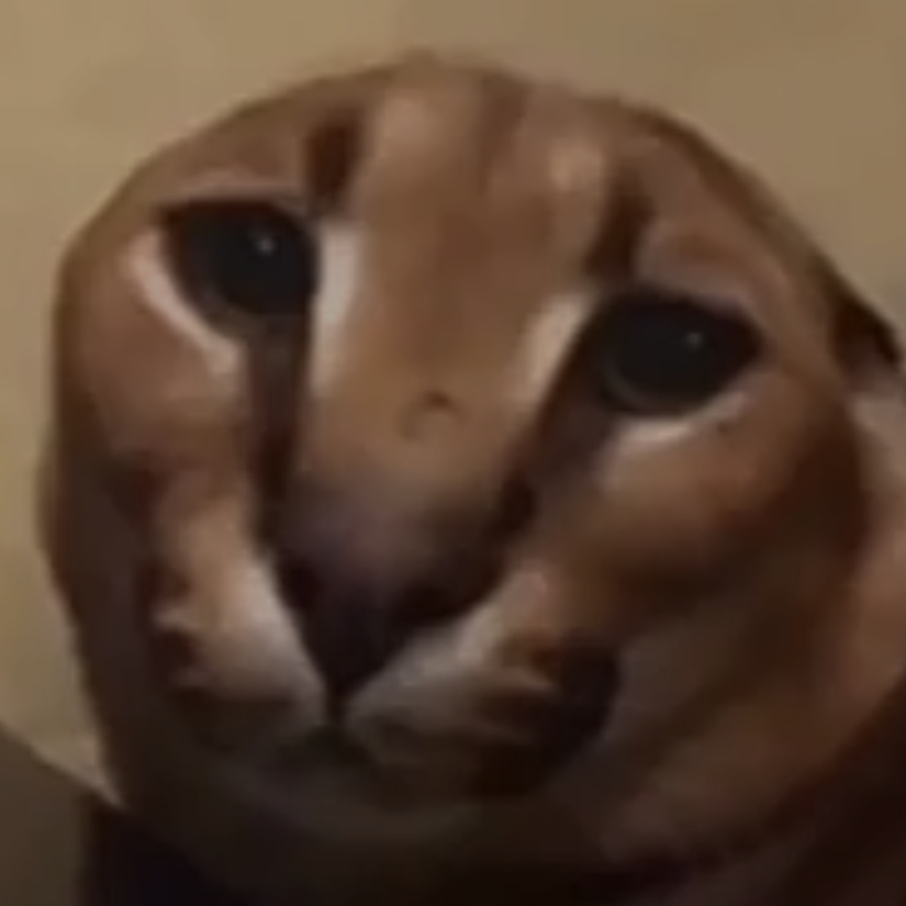 Big Floppa