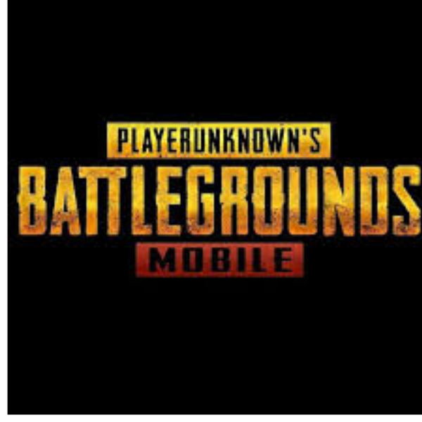 BATTLEGROUNDS MOBILE INDIA