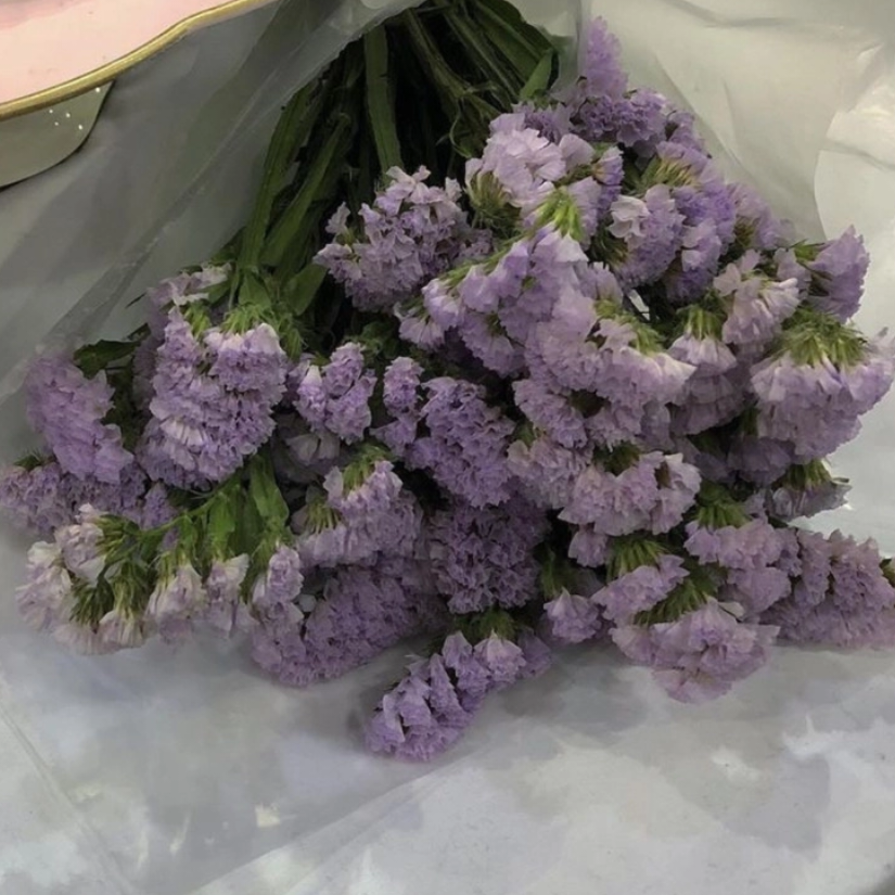 แซลม่อนตากแห้ง