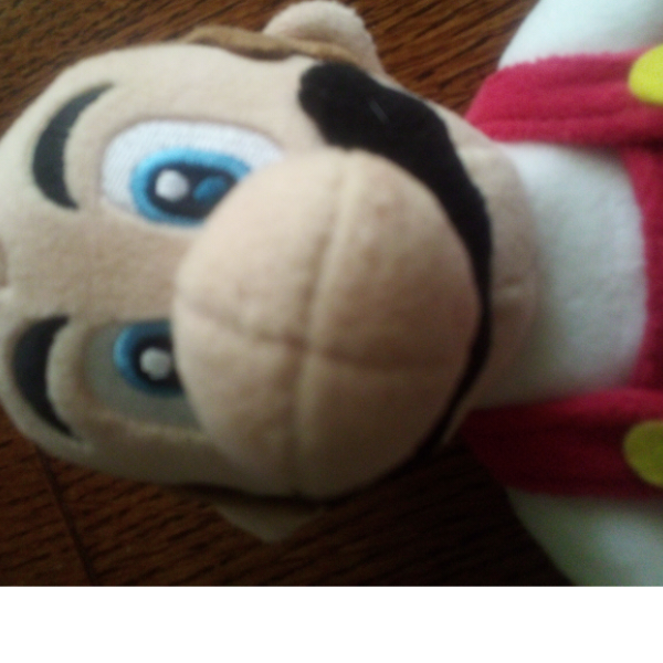 kobie's creatures 🦋