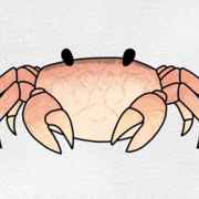 Geyser Crab