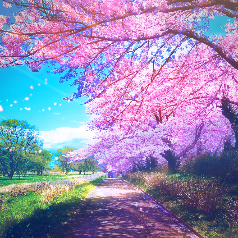 ˙T○M²