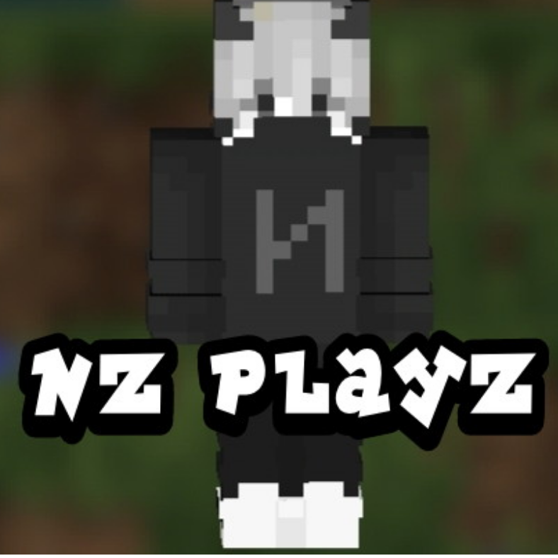 NZ PlayZ