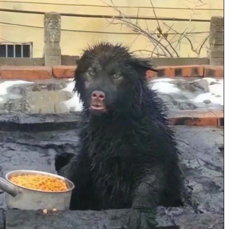 让我馋一馋味道