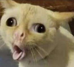 ただの田中さん