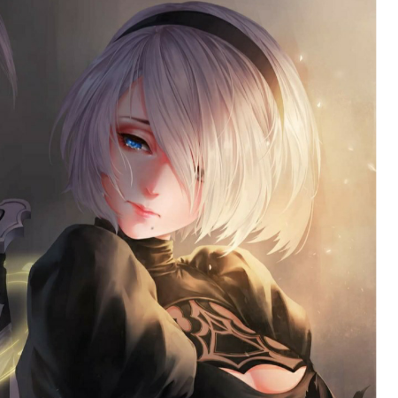 2B Waifu