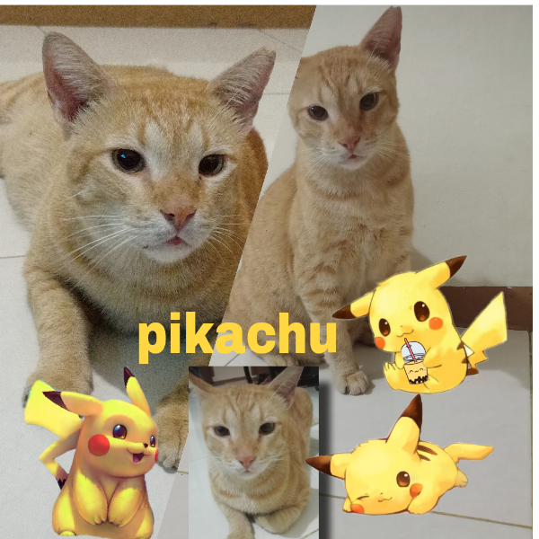 pikachu imut cutes