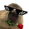 Ir1kk4