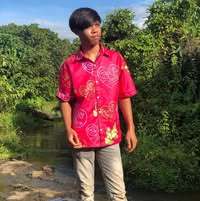 BraveLion