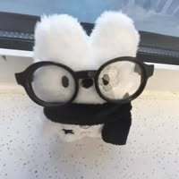 WittyKitten