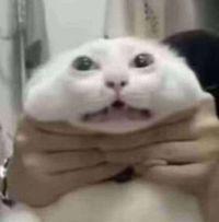 cfsuไม่มีอะไรจะ เล่น