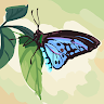 BLUEEXBERRY