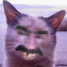 Special Schrodinger's cat