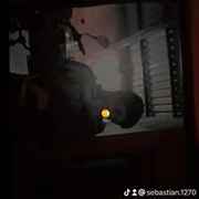 BreezyLion