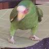 Omar
