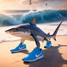 SunnyShark