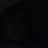 SillyFox