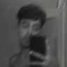 ShinyTurtle