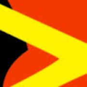 developer ninjago