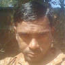 Harish kevat