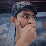 WittyShark
