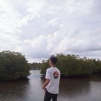 WittyLion