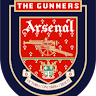 THE ARSENAL GUNNERS FAN