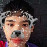 BraveBear