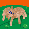 Icon of player