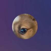 BouncyNinja