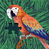 SunnyOwl