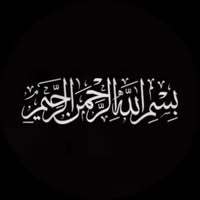 Samer Abo Haltm