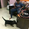 omkar gaikwad