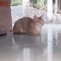  ไอคอนของ player