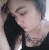 SnappyPanda