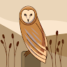 CheeryOwl