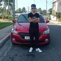 SillyFox