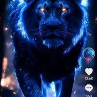 LuckyOwl